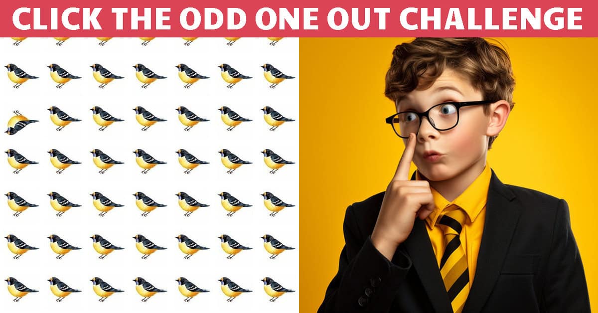 No One Can Solve This Puzzle. Can You Spot The Correct Number Of Emojis