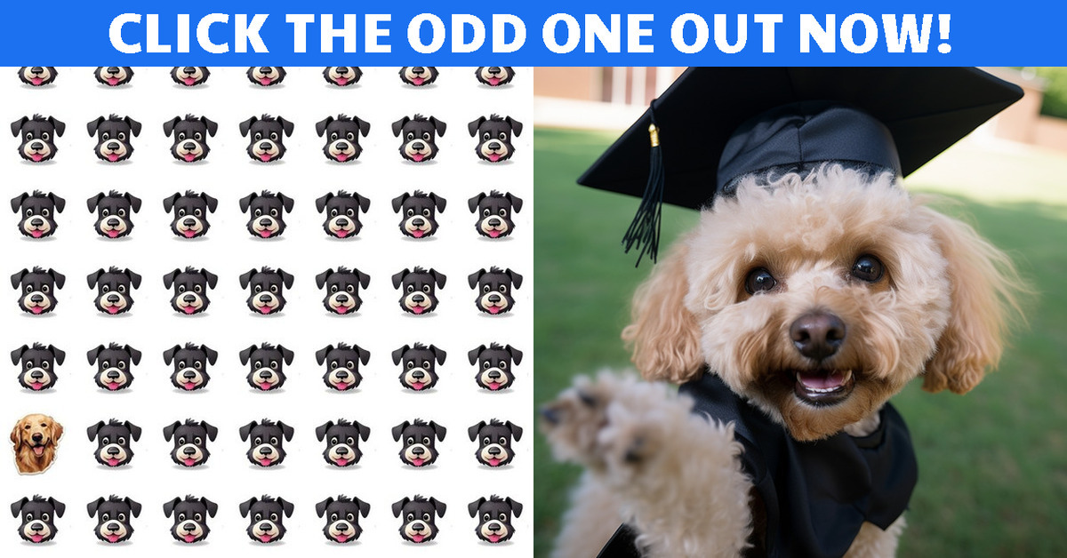 Emoji Lone Wolf Quiz