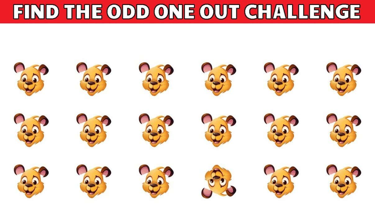 10 Odd One Out Quizzes For Visual Puzzle Experts
