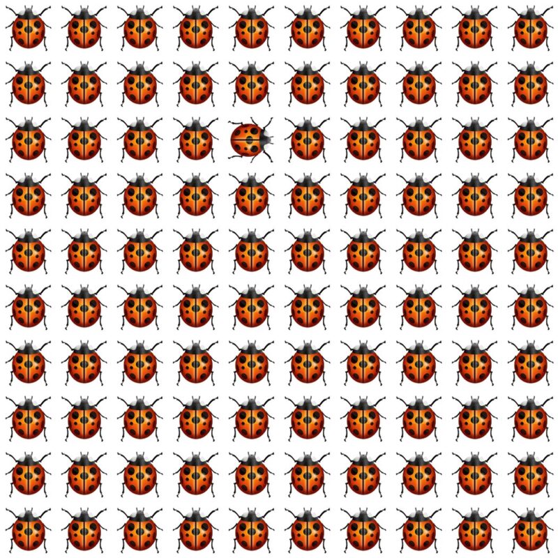 Emoji Quiz 5