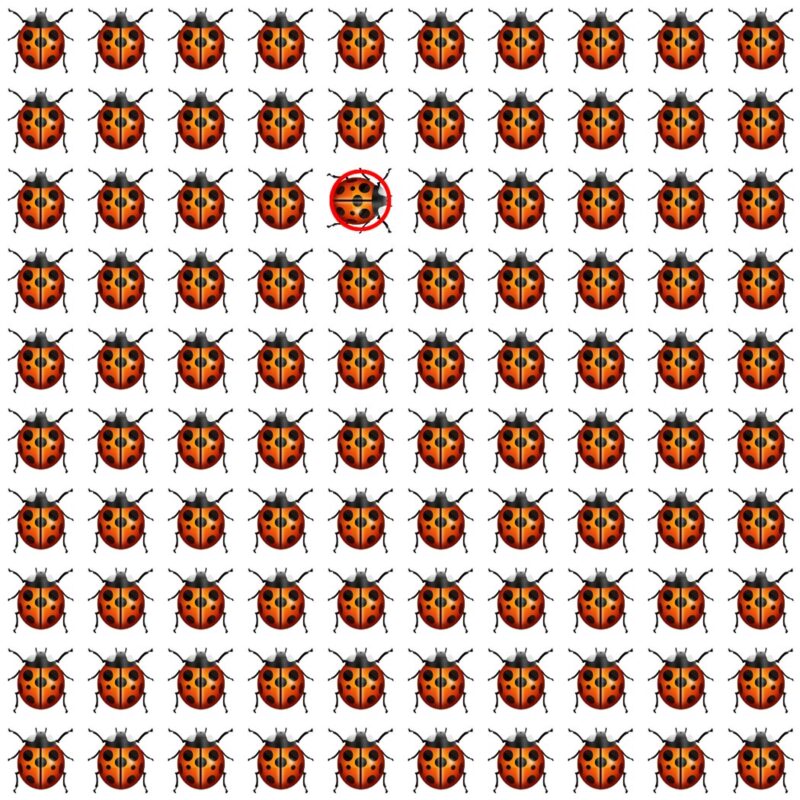 Emoji Quiz 5 solution