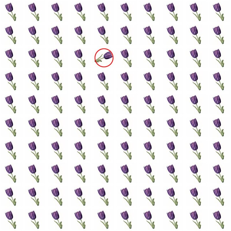 Emoji Quiz 5 solution