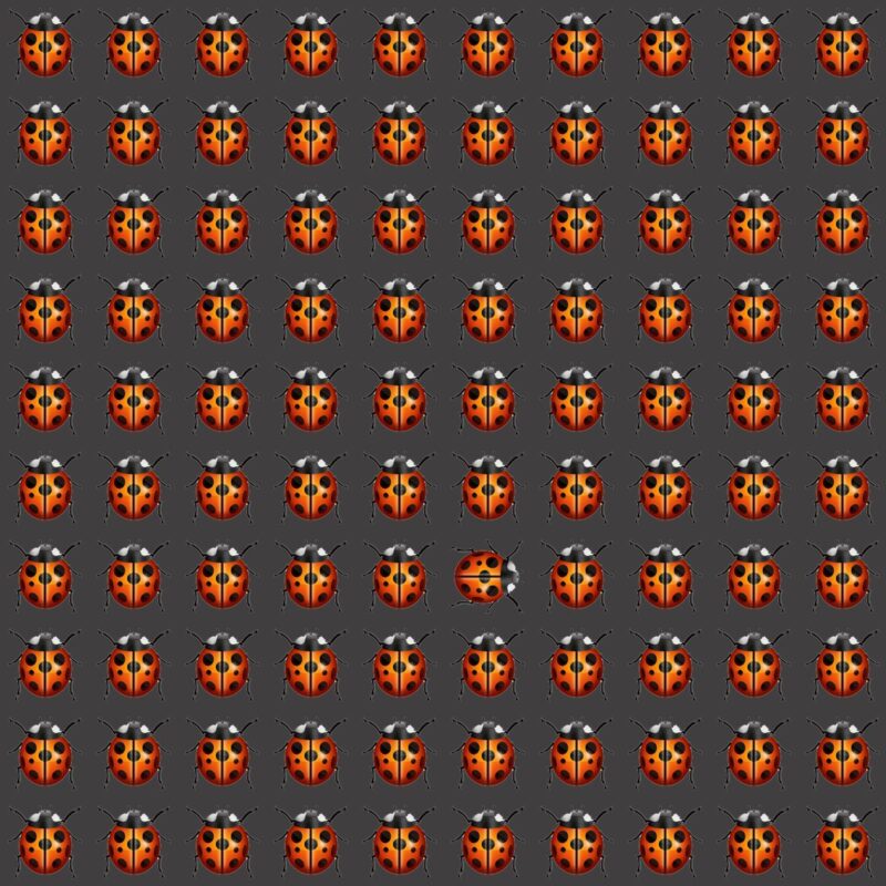 Emoji Quiz 5