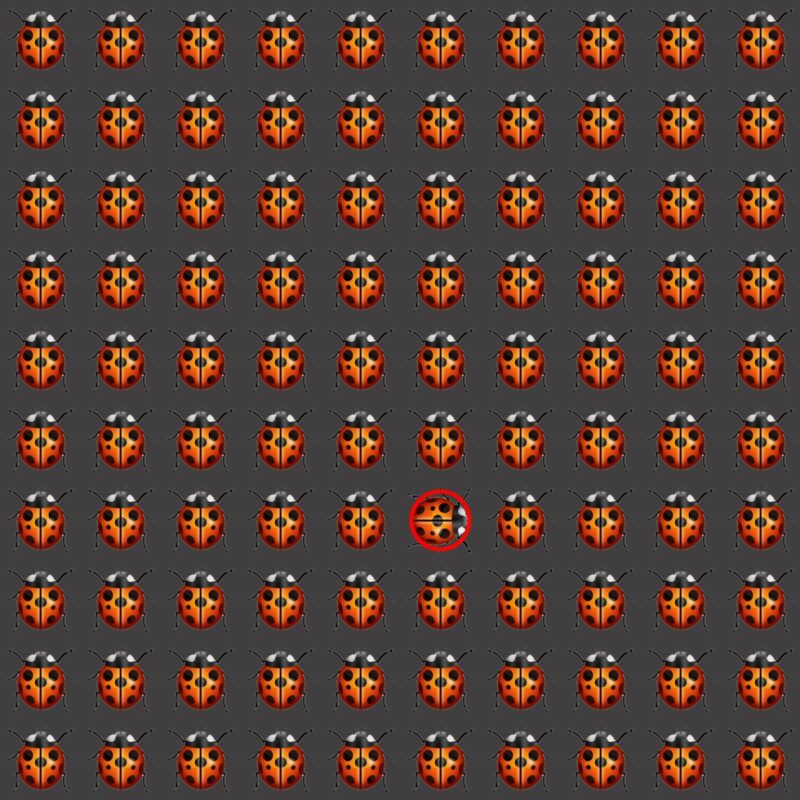 Emoji Quiz 5 solution