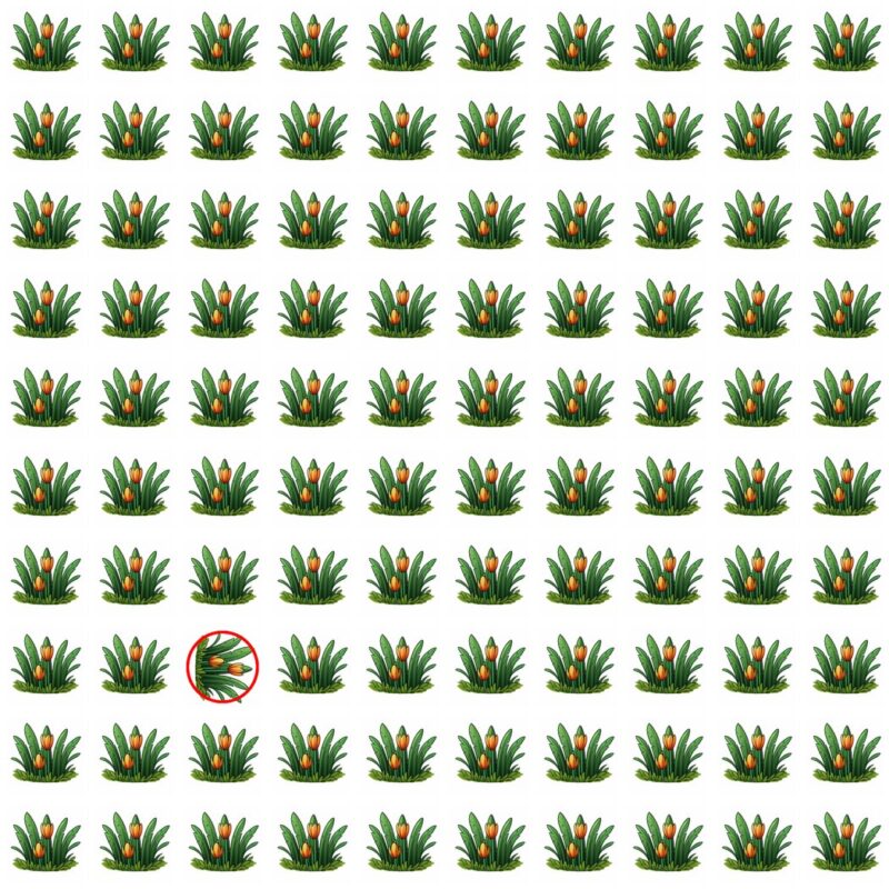 Emoji Quiz 5 solution