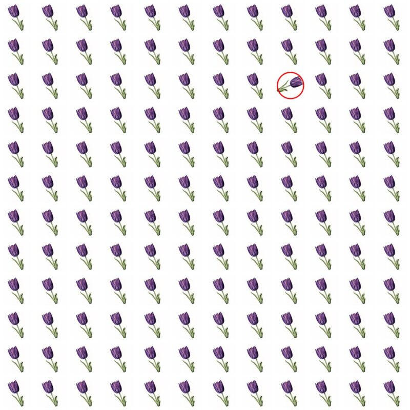 Emoji Quiz 6 solution