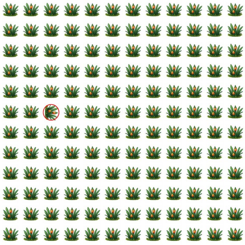 Emoji Quiz 6 solution