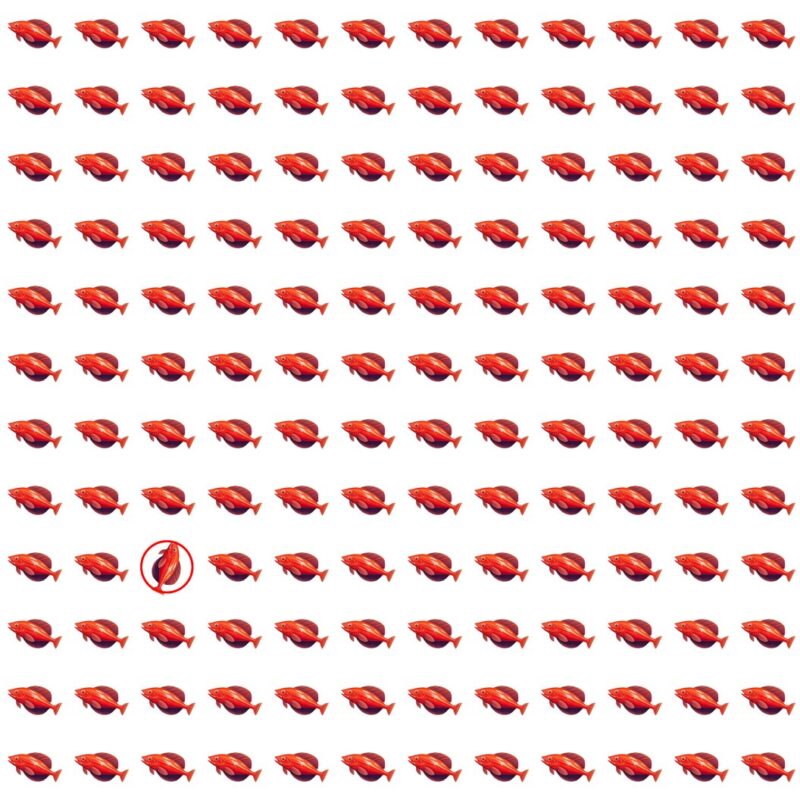 Emoji Quiz 6 solution