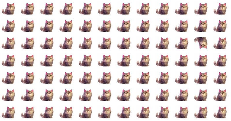 Only High IQs Will Ace This Odd One Out Game!