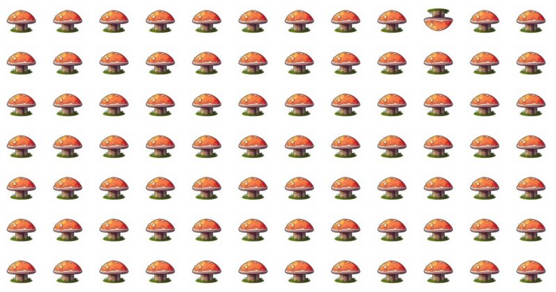 You’re Probably A Genius If You Get 100% In This Odd One Out Visual Quiz. Let’s Play!