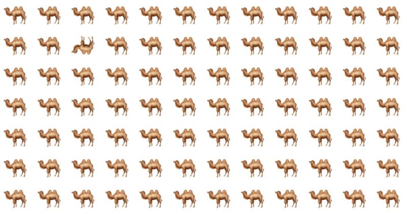 Only Highly Creative People Can Pass This Odd One Out Test