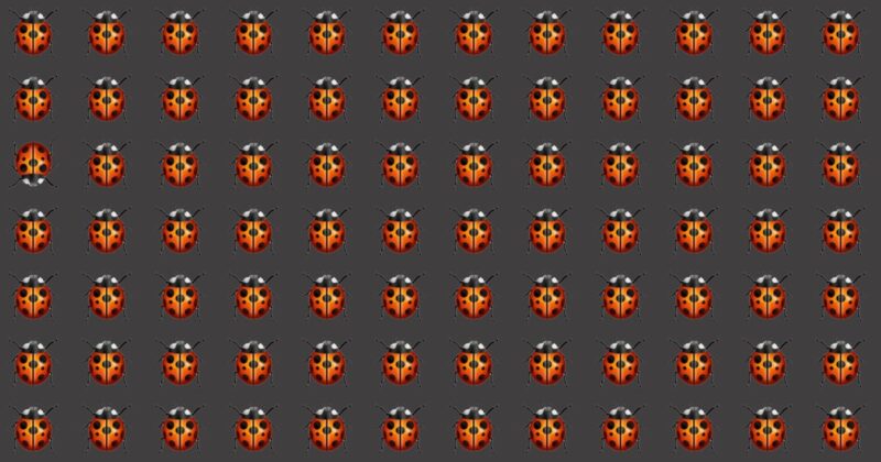 Odd Fellow Puzzle – Do You Have The Sharpest Eyes?