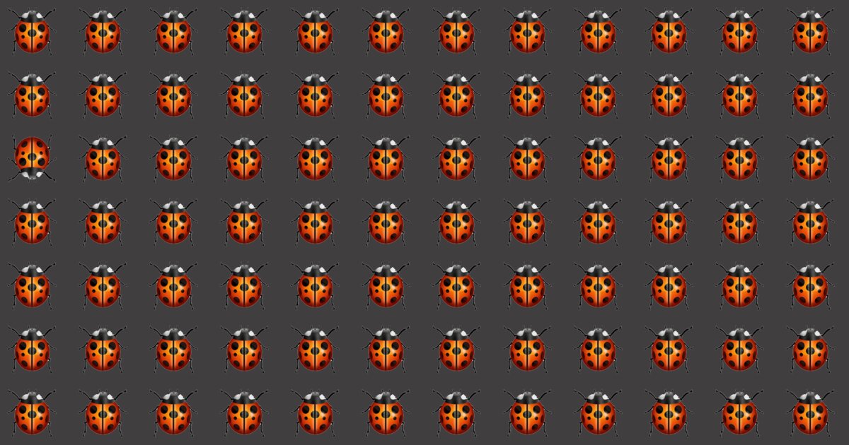 Odd Fellow Puzzle – Do You Have The Sharpest Eyes?