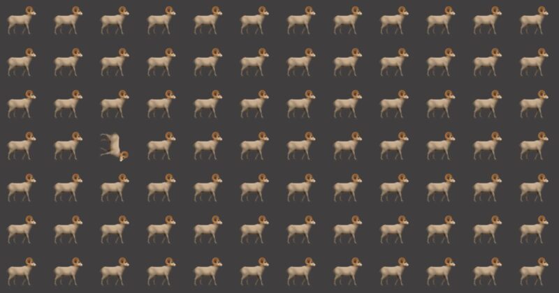 Find Your Visual Talents In About 20 Seconds with This Quiz