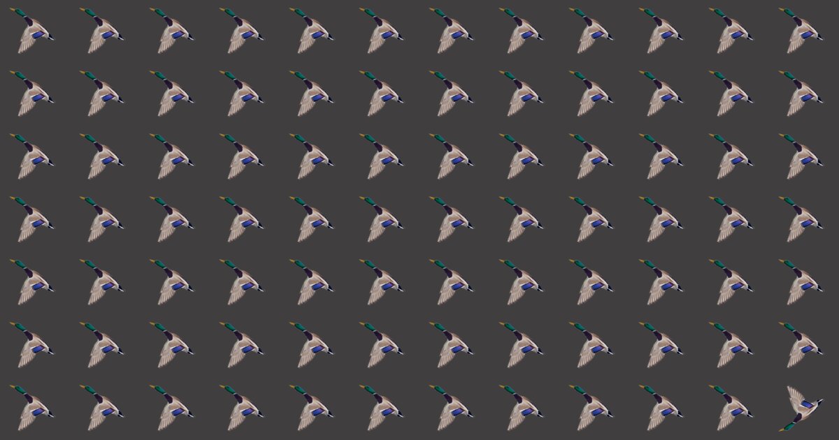 This Odd One Out Game Tests Your Visual Perception!