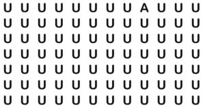 Odd One Out Chronicles Ii: A Visual Puzzle Quest