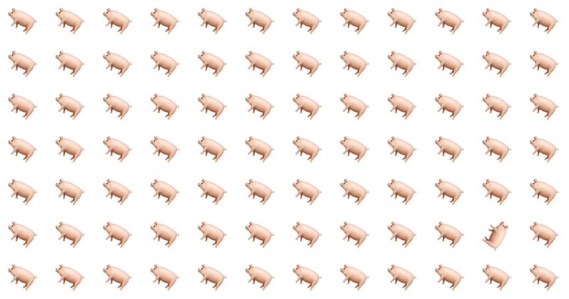 Spot The Odd One – Do You Have What It Takes To Win?