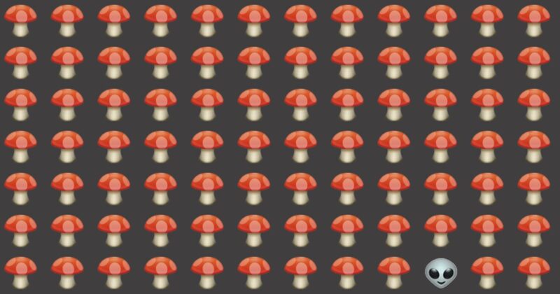 No One Can Score A Perfect Score On This Odd One Out Visual Test Without Cheating