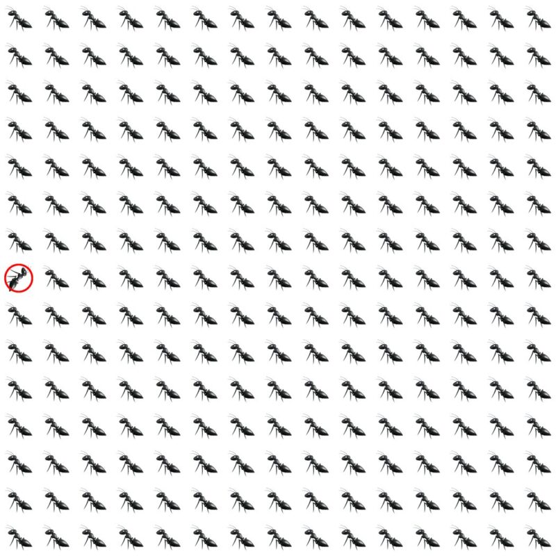 Emoji Quiz 7 solution