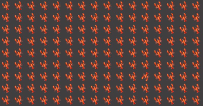 Beating This Difficult Odd One Out Test Is Impossible. Prove Us Wrong