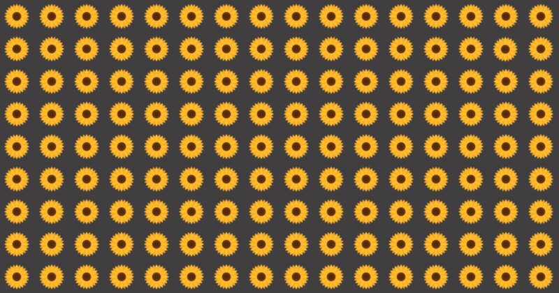 Only A Few Can Ace This Odd One Out Test! Find Out If Your IQ Is High Enough To Pass This Challenge