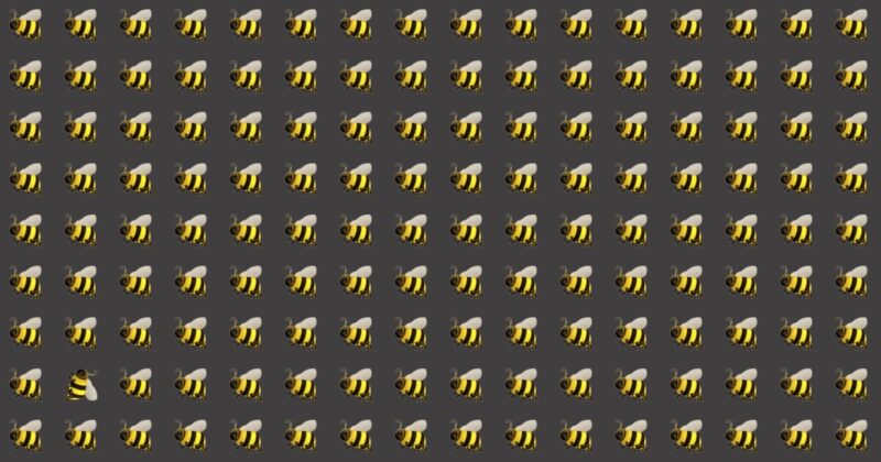 Find The Odd Fellow – Only Puzzle Masters Will Pass!