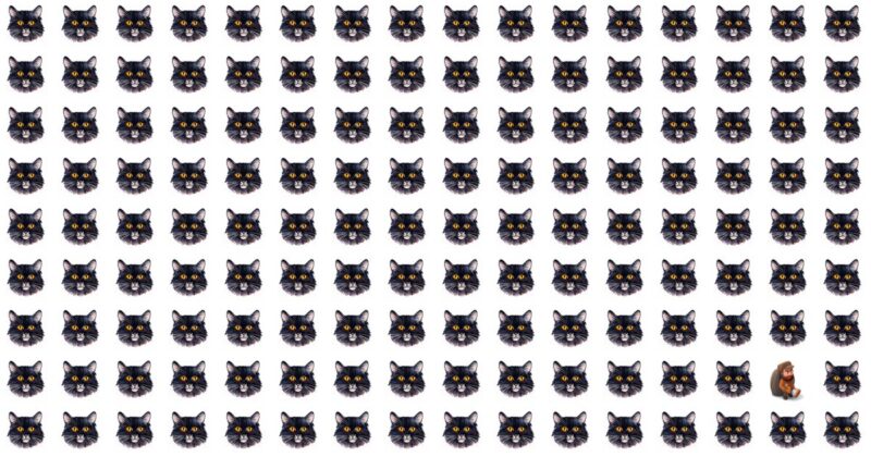 It’s Too Hard To Complete This Hard Visual Test