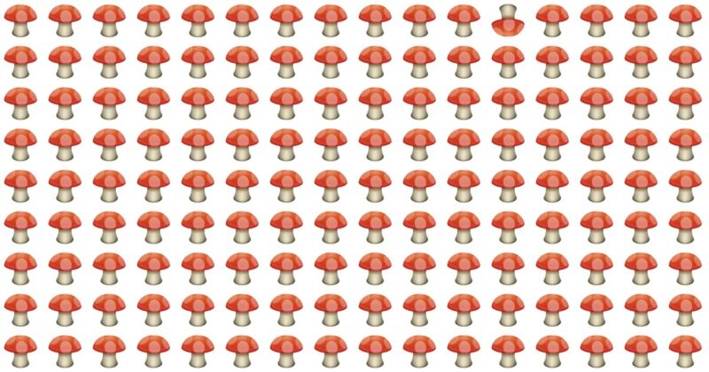 Can You Put An End To This Puzzle Challenge By Solving This?