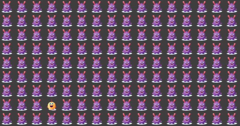Challenge Time: Achieve 100% On This Odd One Out Quiz