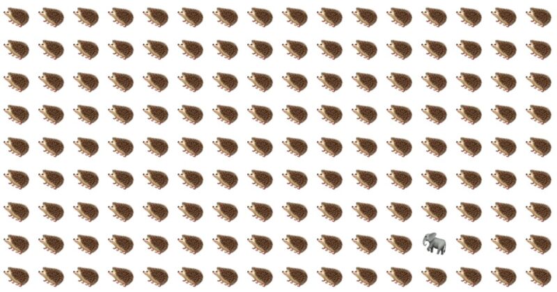 Spot The Odd One Quiz – Only Experts Can Ace This!