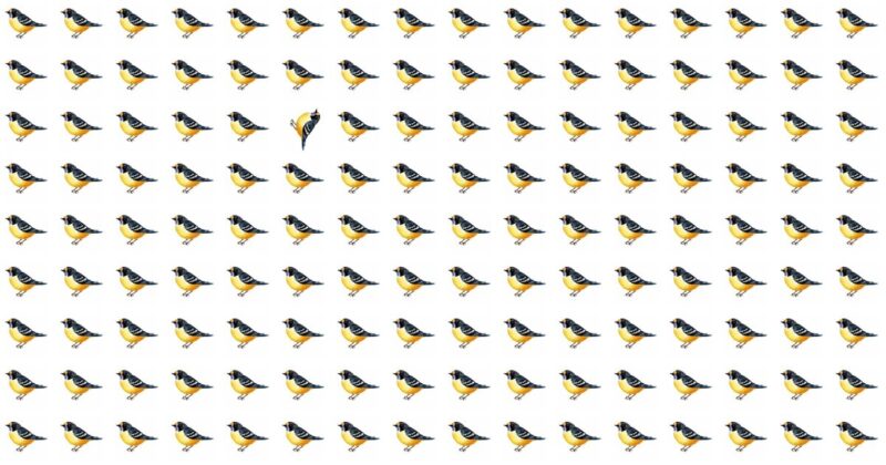 Only 5 Out Of 100 People Will Graduate From This Odd One Out Puzzle! Want To Play?