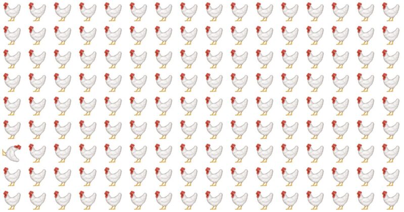 Only A True Puzzle Master Can Spot The Odd One!