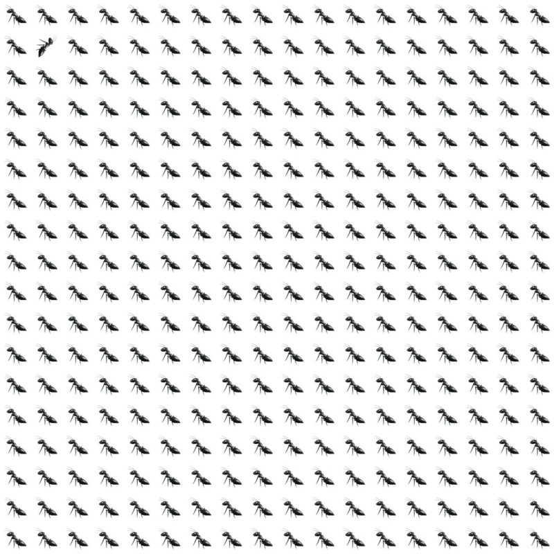 Emoji Quiz 8