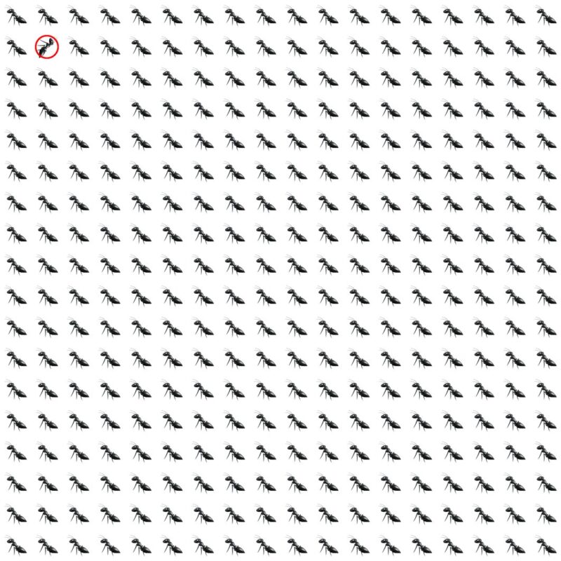 Emoji Quiz 8 solution