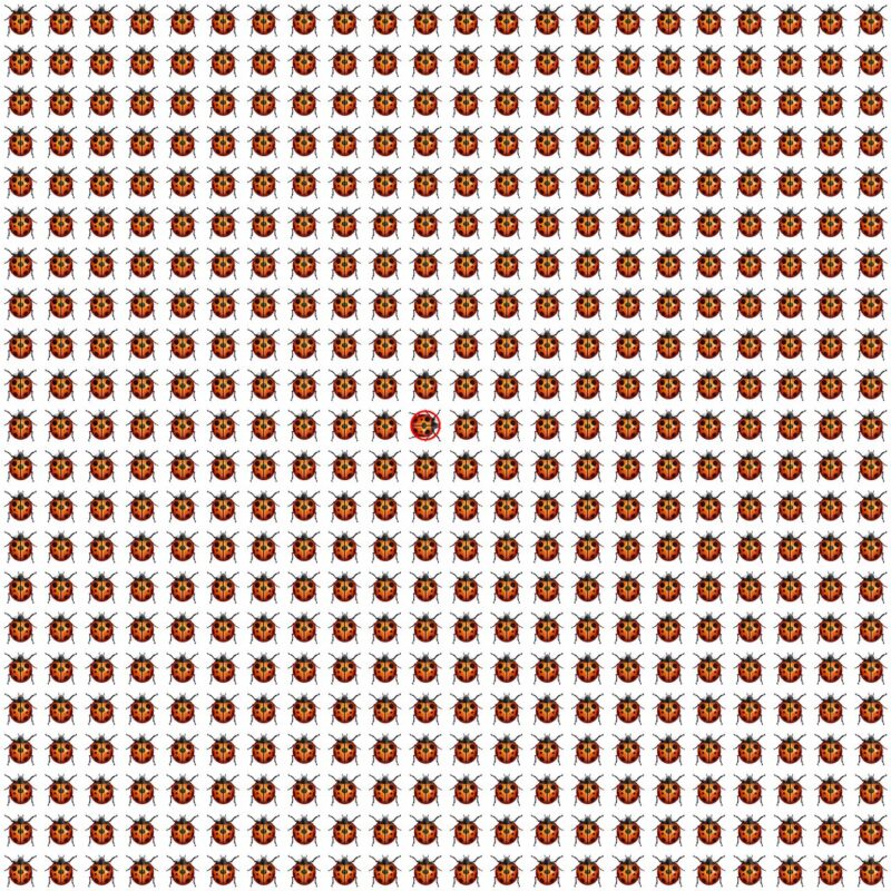 Emoji Quiz 9 solution