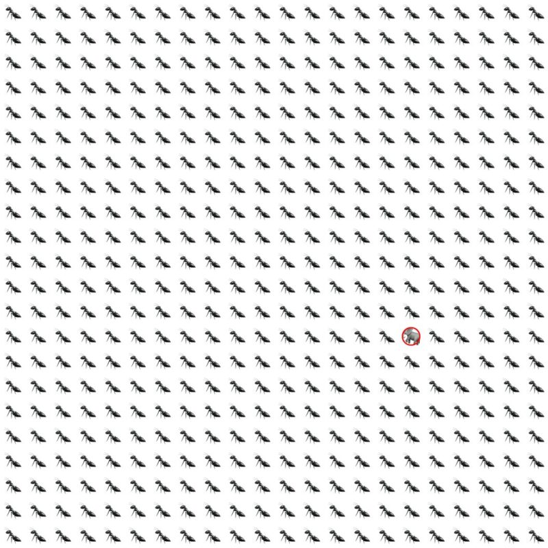 Emoji Quiz 9 solution