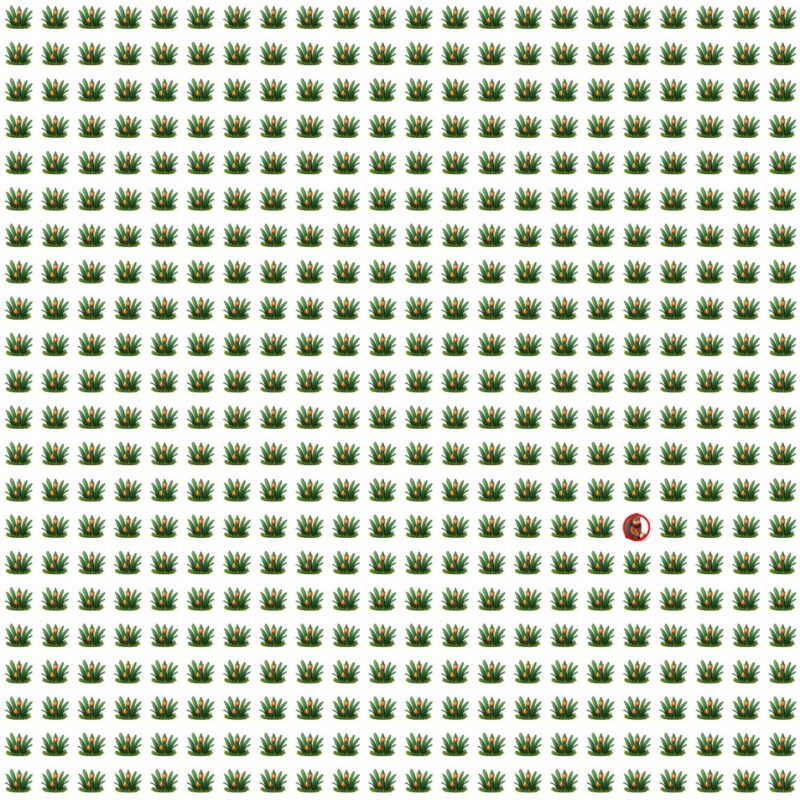 Emoji Quiz 9 solution