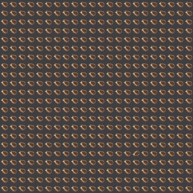 Emoji Quiz 9