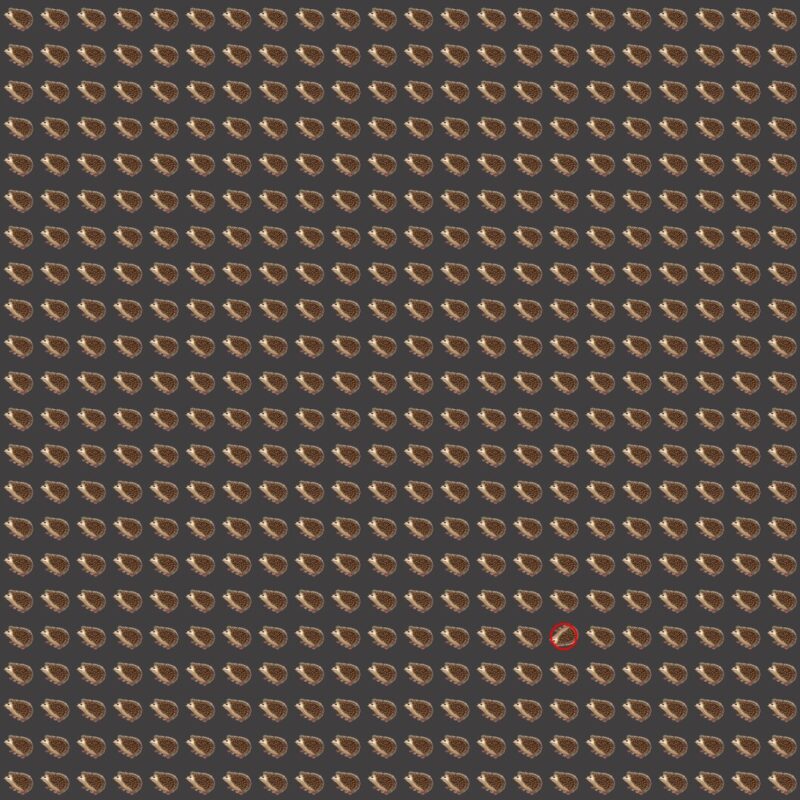 Emoji Quiz 9 solution