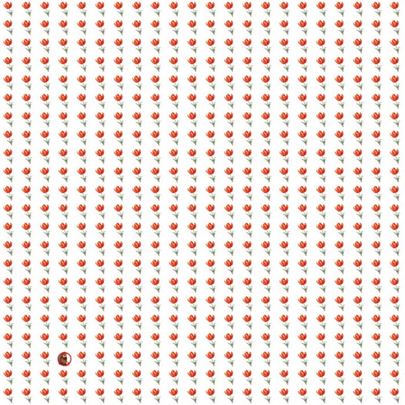 Emoji Quiz 9 solution