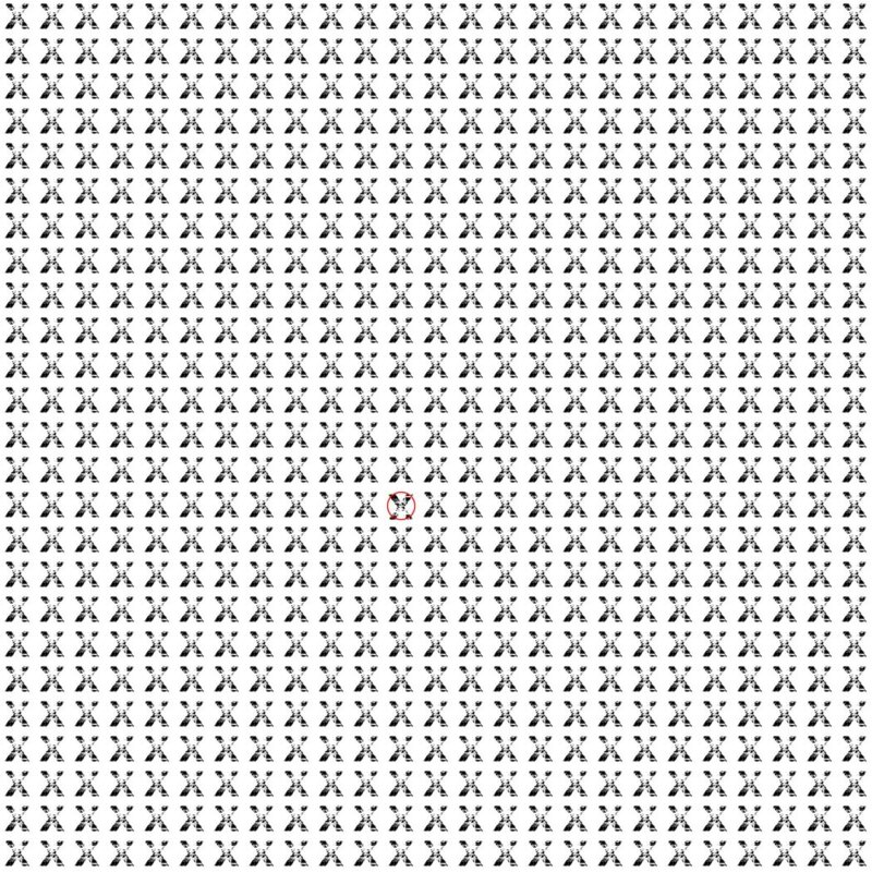 Emoji Quiz 10 solution