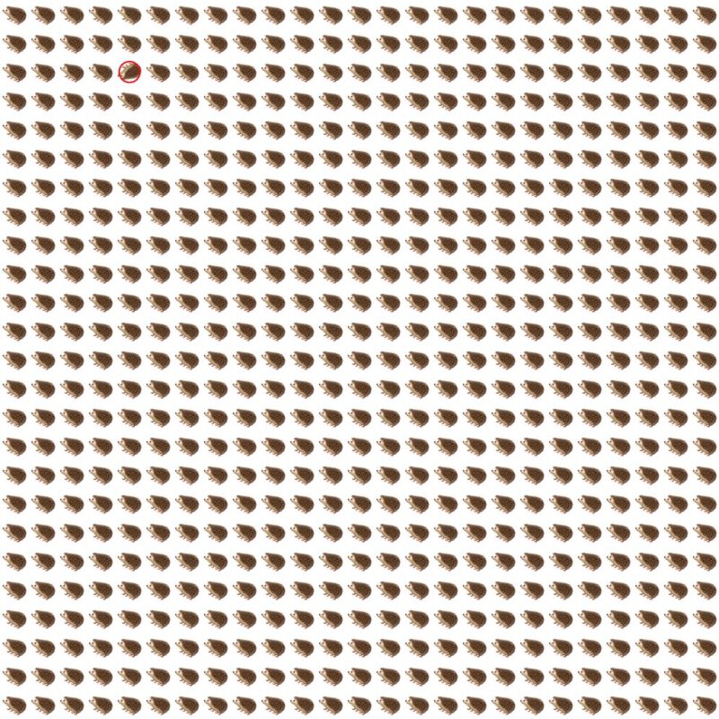 Emoji Quiz 10 solution