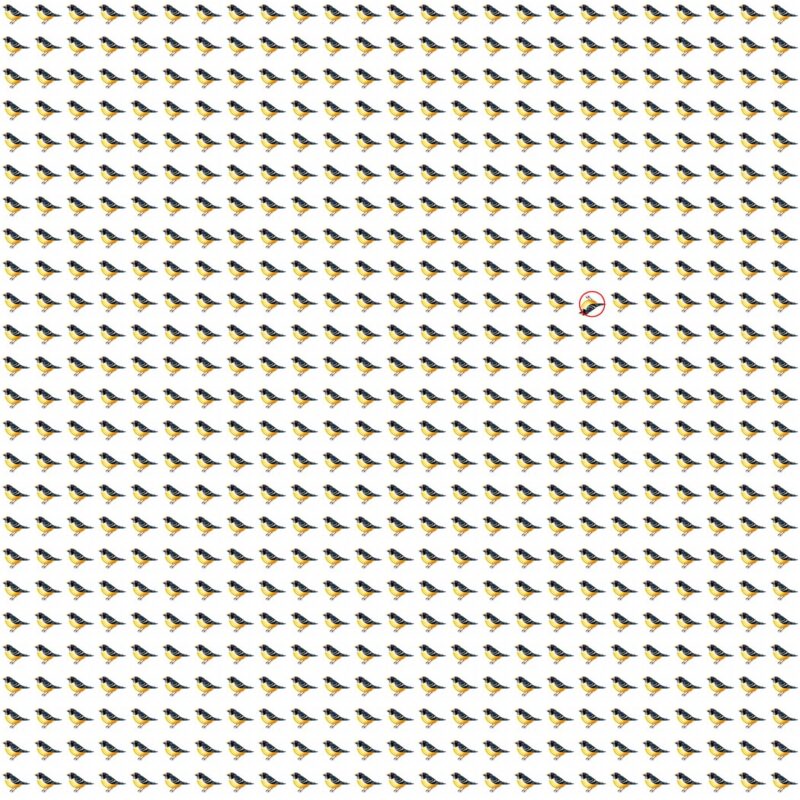 Emoji Quiz 10 solution