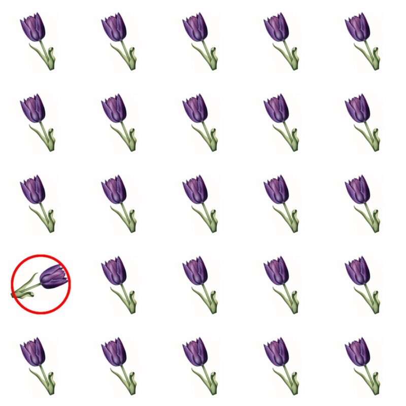 Emoji Quiz 1 solution