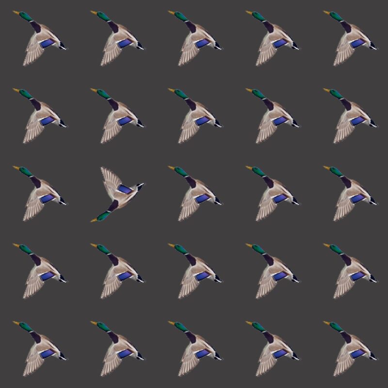 Emoji Quiz 1