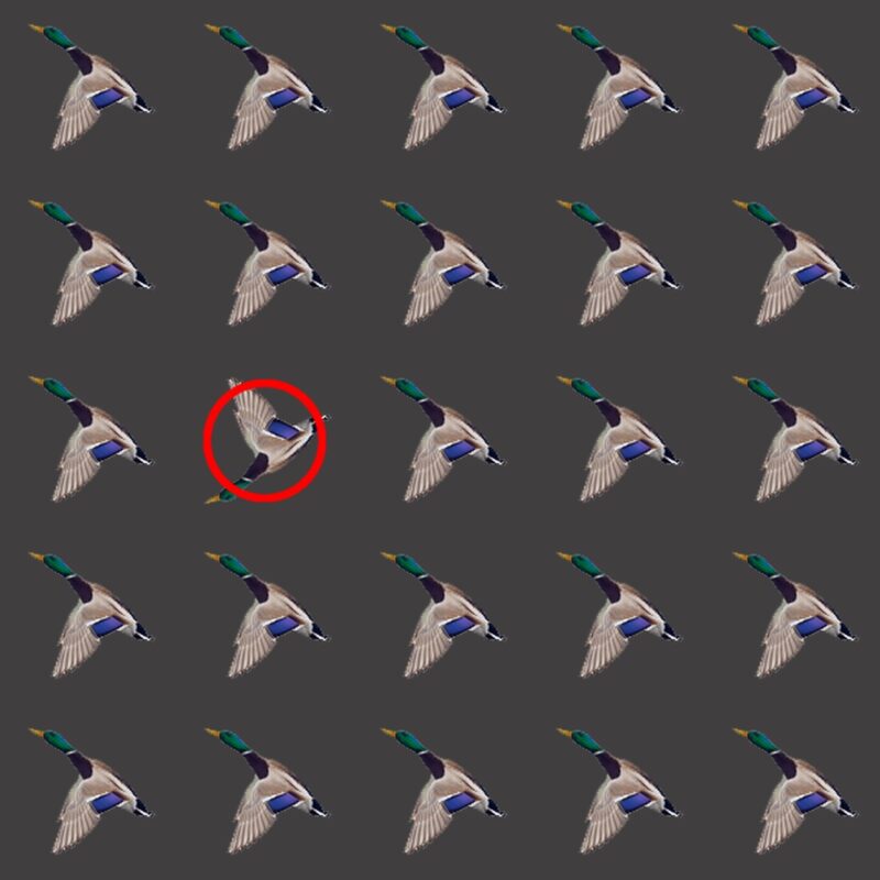 Emoji Quiz 1 solution