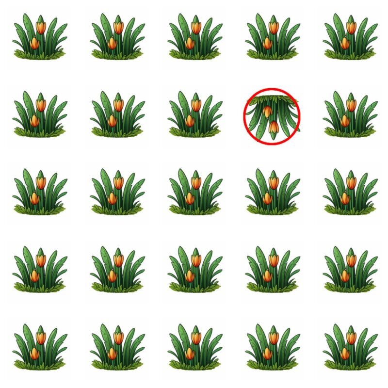 Emoji Quiz 1 solution