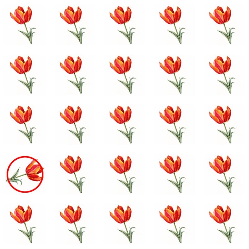 Emoji Quiz 1 solution