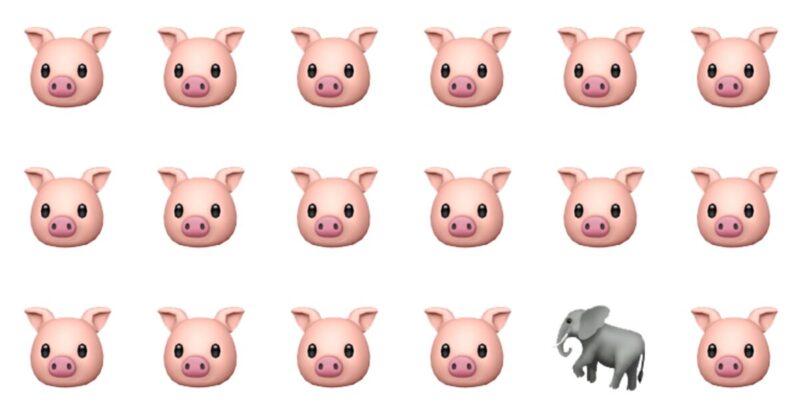 Find The Odd One Quiz – Can You Beat The High Score?