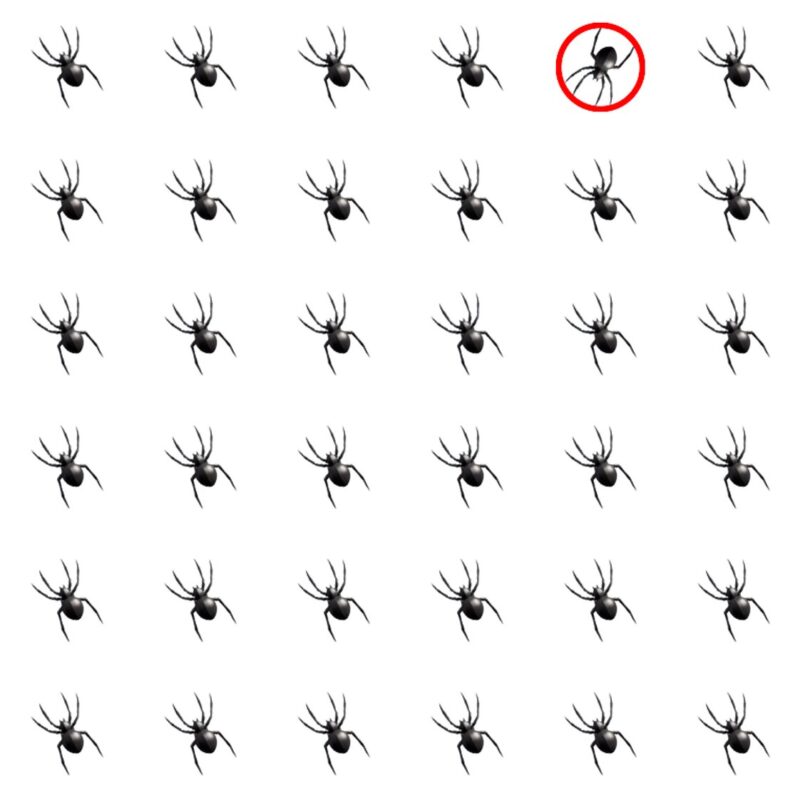 Emoji Quiz 2 solution